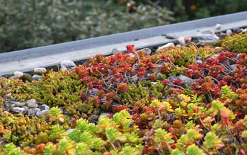 the cost of Beardly Batch green roof installation