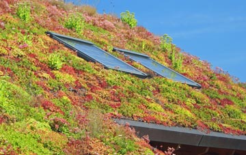 Beardly Batch living roof systems