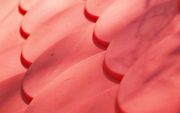 Beardly Batch plastic roof costs