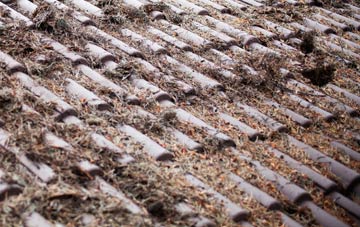 Beardly Batch roof cleaning companies